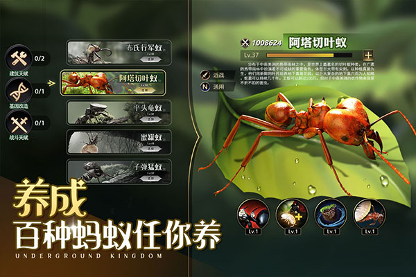 小小蚁国下载截图