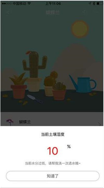 下载花花草草资讯软件