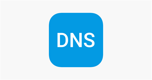DNS转换器手机版