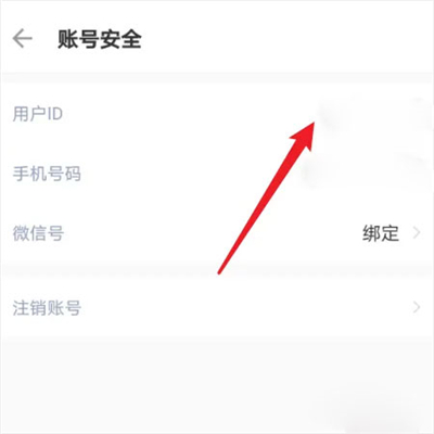 小蓝本企业查询