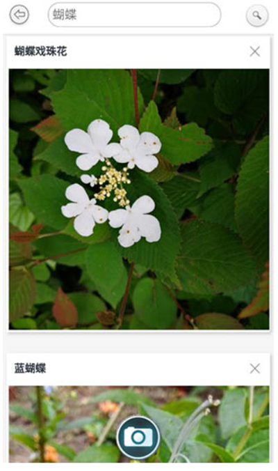 万物识别
