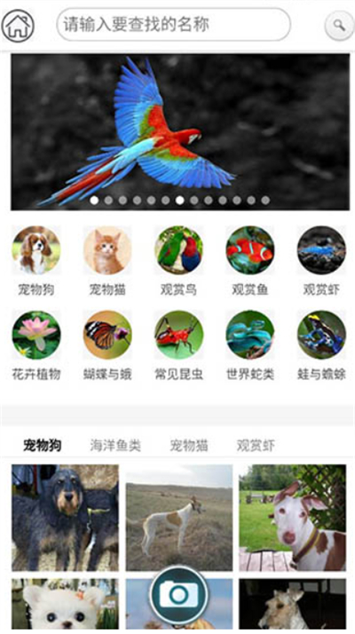 万物识别