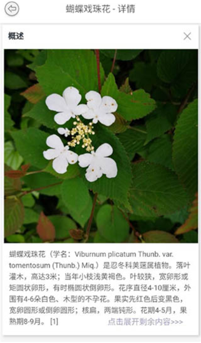 万物识别