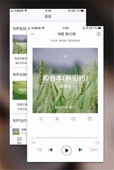 电子圣经