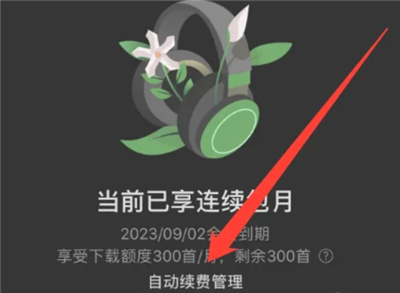 汽水音乐车机版