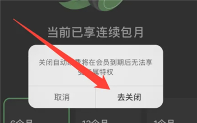 汽水音乐车机版