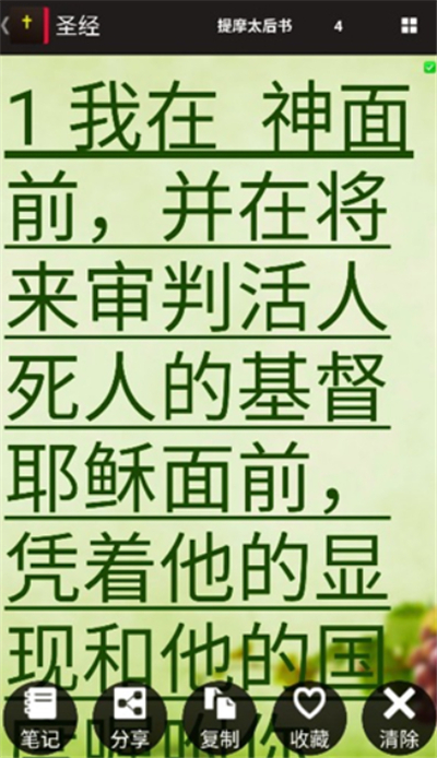读圣经