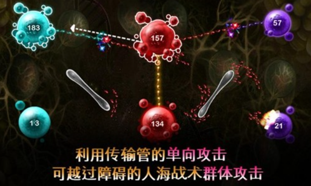 繁殖战争2