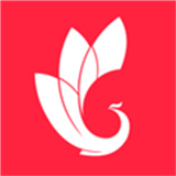 巅峰减重App