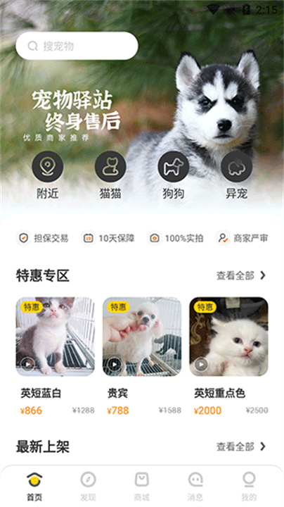 买只宠物安卓版