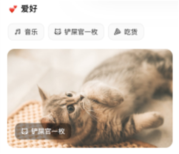 奶盖安卓版