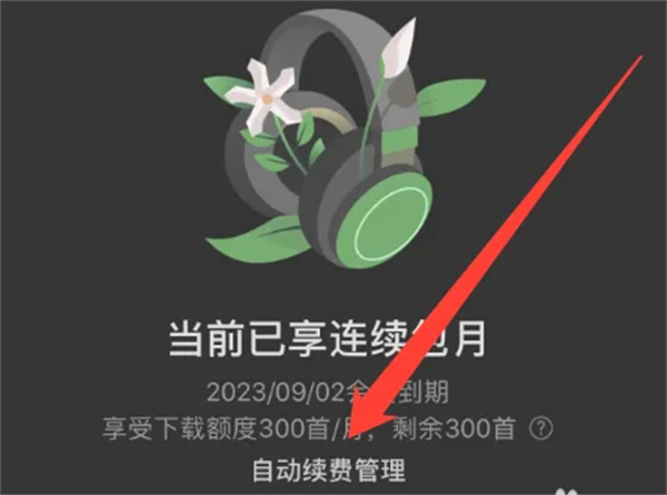 汽水音乐