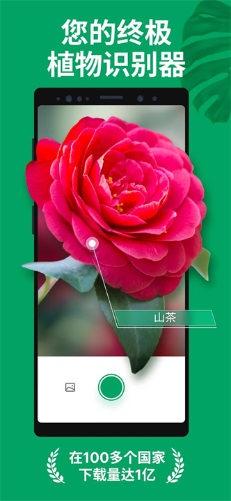 PictureThis