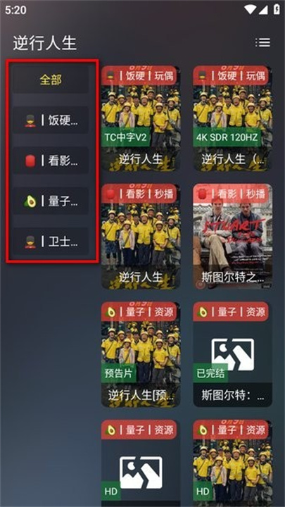 茶杯狐