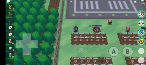 PokeMMO