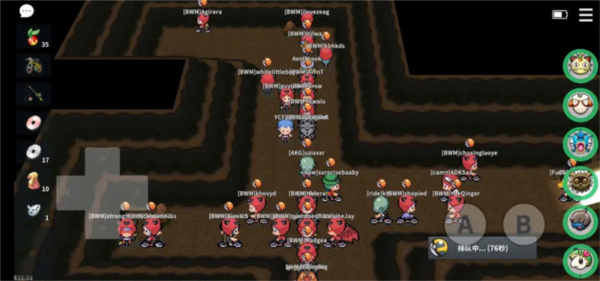 PokeMMO