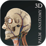 掌上3D解剖