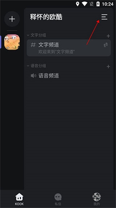 KOOK语音