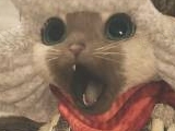 《怪物猎人：荒野》Steam国区价格永降又迎差评 玩家：感觉被背刺！
