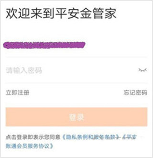 平安金管家