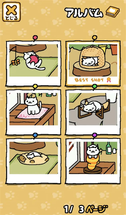 猫咪后院2安卓版截图