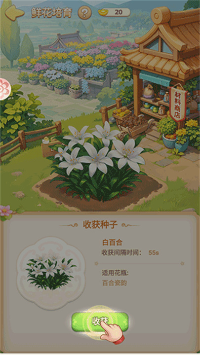 我的花园世界