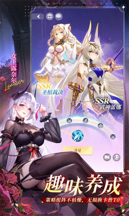命运圣契截图
