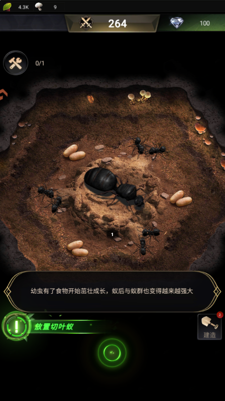 小小蚁国37版