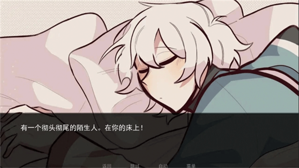 病娇抱枕游戏截图