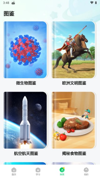 斑马百科