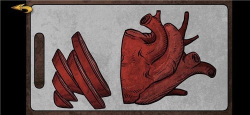 人生画廊最新版