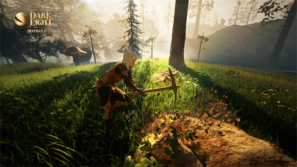 黑暗与光明国际服截图