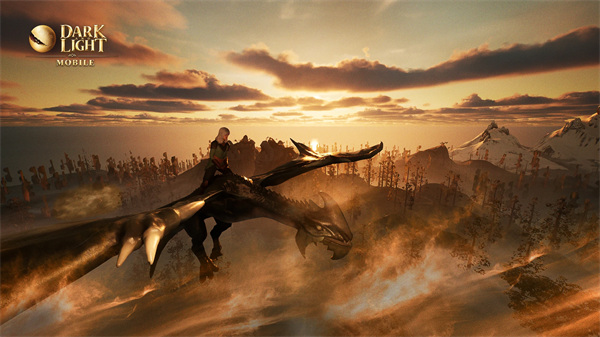 黑暗与光明国际服截图