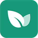 青藤之恋官方版