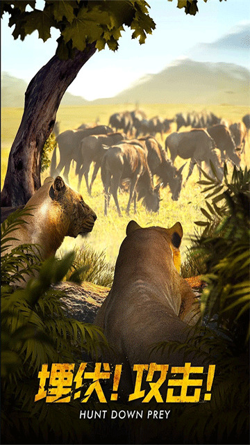 野兽领主新世界安卓版截图