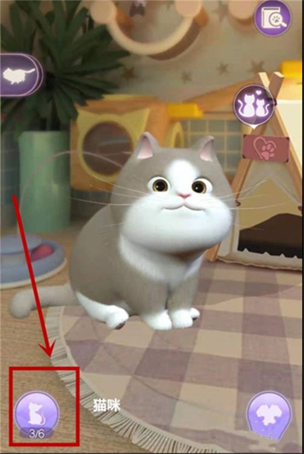 时光公主官方正版