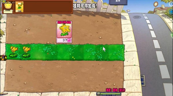 植物大战僵尸杨桃版5