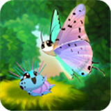 彩翼蝴蝶保护区最新版