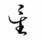 星逐海游戏