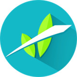 WeederMatch游戏